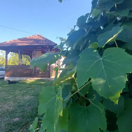 Mala Kola - Weekend House Banja Luka